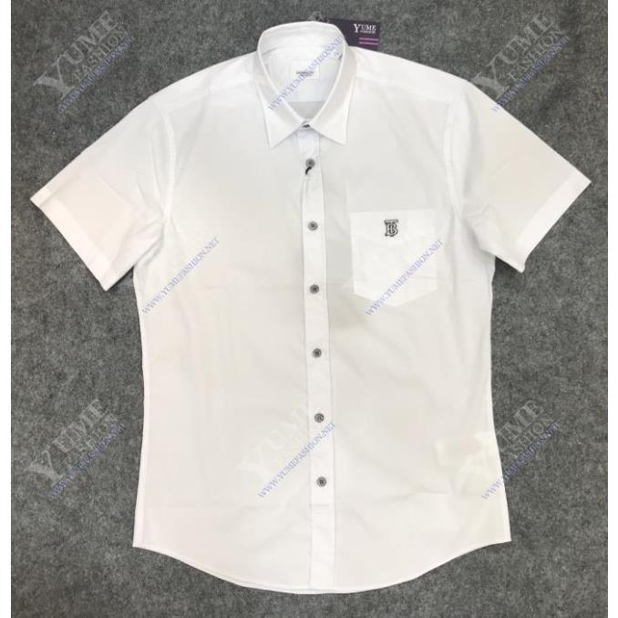 ÁO NAM BURBERRY 